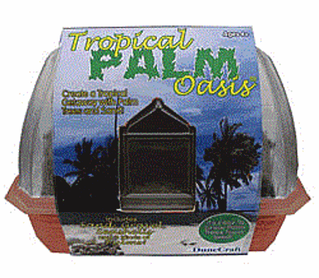 Picture of Tropical Palm Oasis