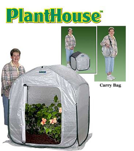 Picture of FlowerHouse PlantHouse 4 Greenhouse