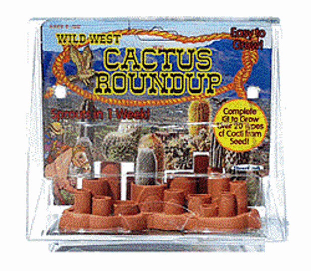 Picture of Cactus Roundup
