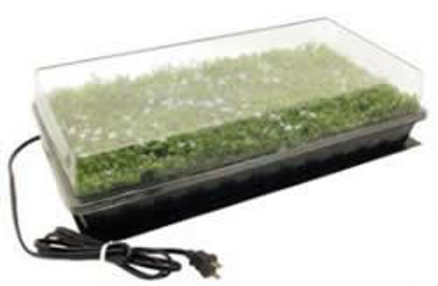 Picture of Heated Germination Station
