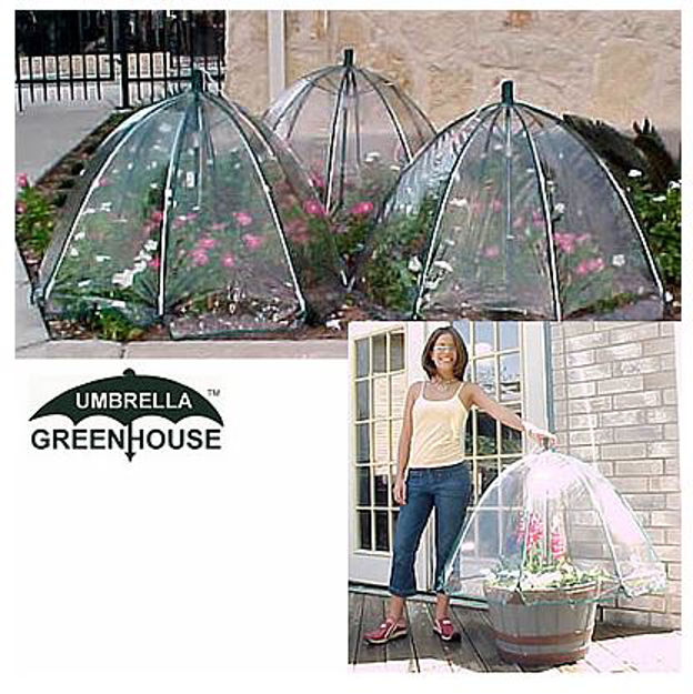 Picture of Four Pack of Umbrella Greenhouses - 42 inch diameter