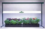 Picture of Jump Start 4' Grow Light System