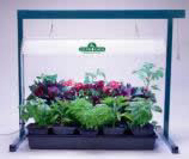 4SeasonGreenhouse. Jump Start 2' Grow Light System