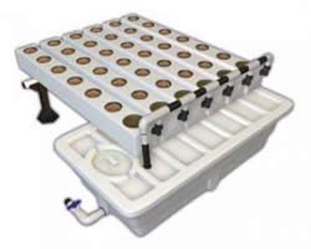 Picture of Aeroflo2 36 Site Aeroponics System
