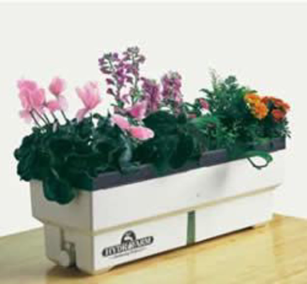 Picture of HomeGarden hydroponic System