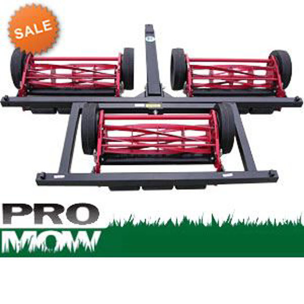 4SeasonGreenhouse. ProMow Gold Premium 3 Gang Reel Lawn Mower