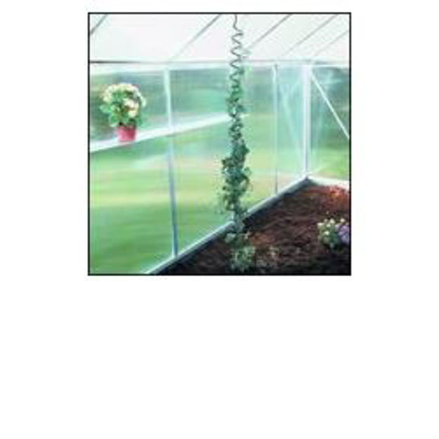 Picture of Juliana Plant Spirals - 3 pack