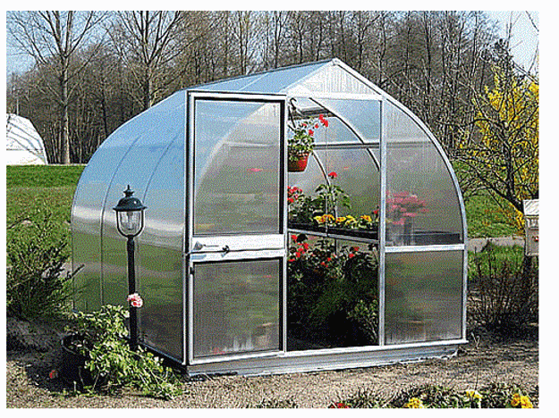 Picture of Riga IIIs The Deluxe Onion Greenhouse