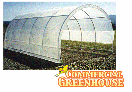 Picture of Weatherguard Lawn & Garden Commercial Greenhouse 12 x 20