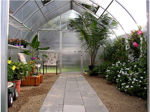 Picture of Riga Deluxe XL The Onion Greenhouse