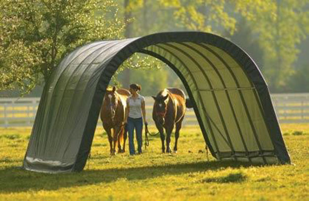Picture of Horse/Equine Run in Shelters 12x20x8
