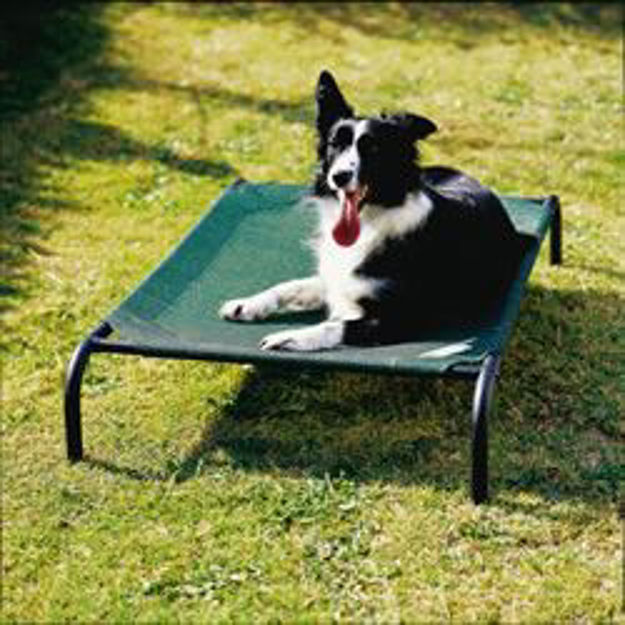 Picture of Coolaroo Steel Pet Bed - Medium