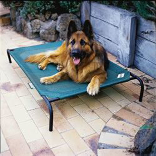 Picture of Coolaroo Steel Pet Bed - Large