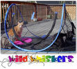Picture of Wild Whiskers Feline Funhouse