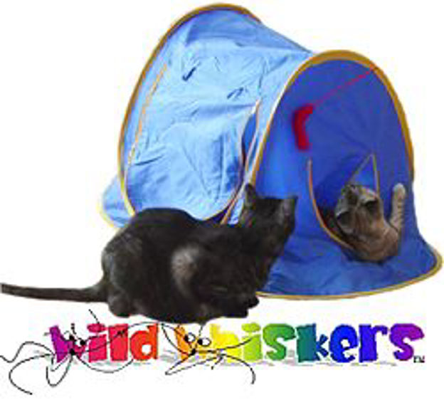 Picture of Wild Whiskers Feline Funhouse - Indoor