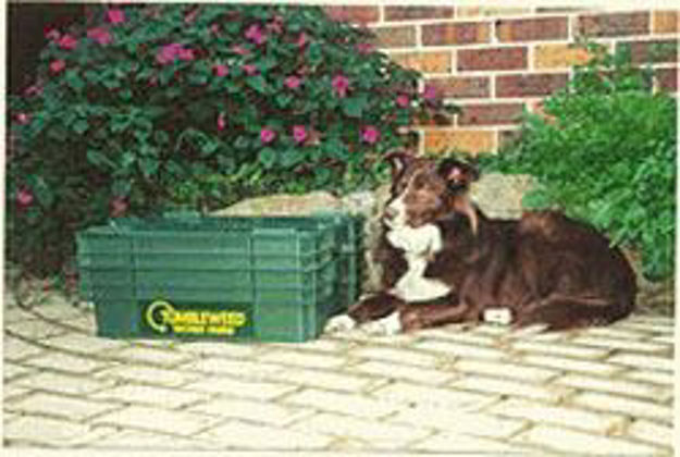Picture of Tumbleweed Worm Farm/Pet Poo Composter