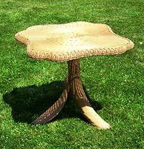 Picture of Wicker Butterfly Garden Table by Flowerhouse - Natural