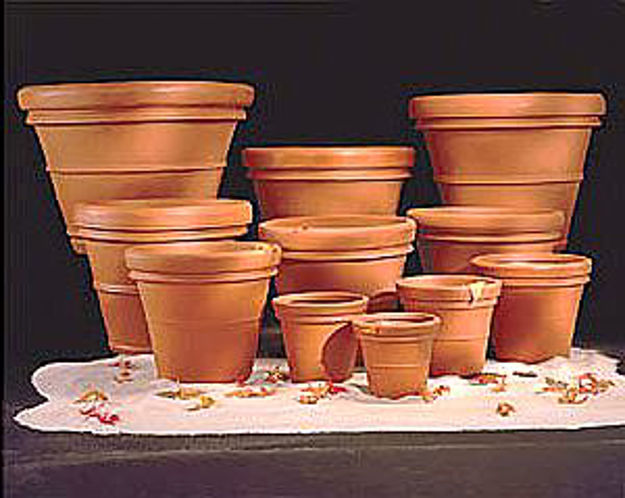 Picture of Terracast Vase Planter - 15" High