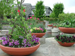 Picture of Terracast Low Bowl Planter - 8" High
