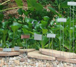 Picture of Copper Plant Markers