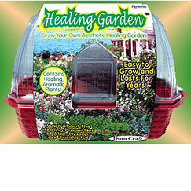 Picture of Healing Garden (Bargain Bin)
