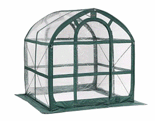 Picture of FlowerHouse CLEAR SpringHouse Greenhouse (Bargain Bin)