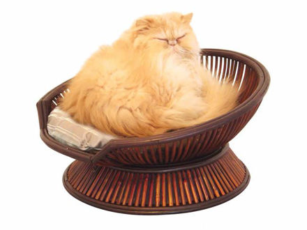 Picture of The Atmosphere Cat Bed