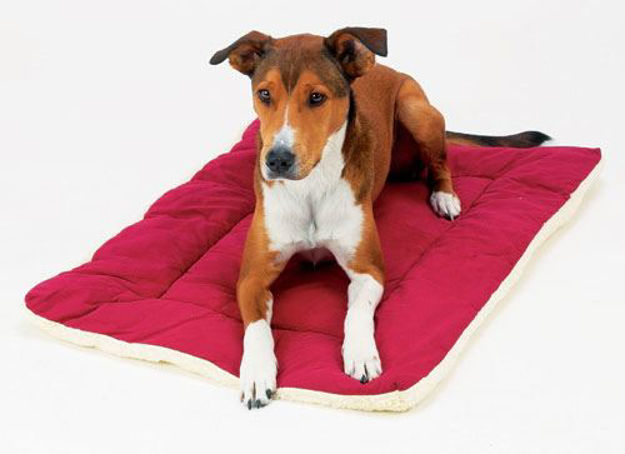 Picture of Sleep-Ezz Dog Bed (XS) - Classic Series