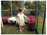Picture of Gardeners Gold Featured Greenhouse