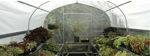 Picture of Bench Mart Deluxe 10 x 6 Retail Greenhouse