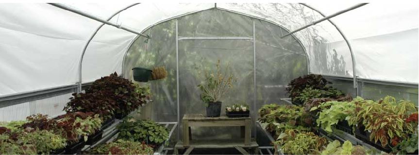 4SeasonGreenhouse. Bench Mart Deluxe 10 x 12 Retail Greenhouse
