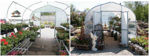 Picture of Bench Mart Deluxe 10 x 18 Retail Greenhouse