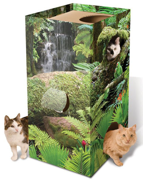Picture of Cat Jungle