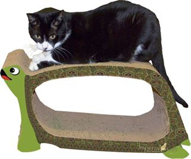 Picture of Scratch N Shapes Turtle Scratcher