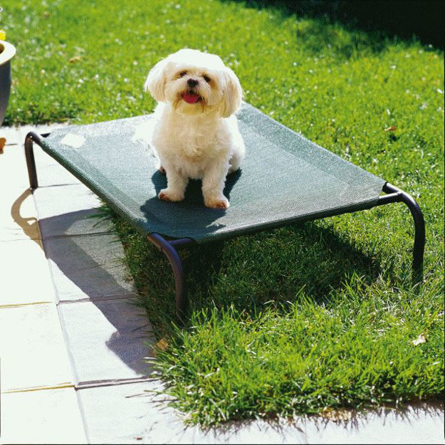 Picture of Coolaroo Steel Pet Bed - Small