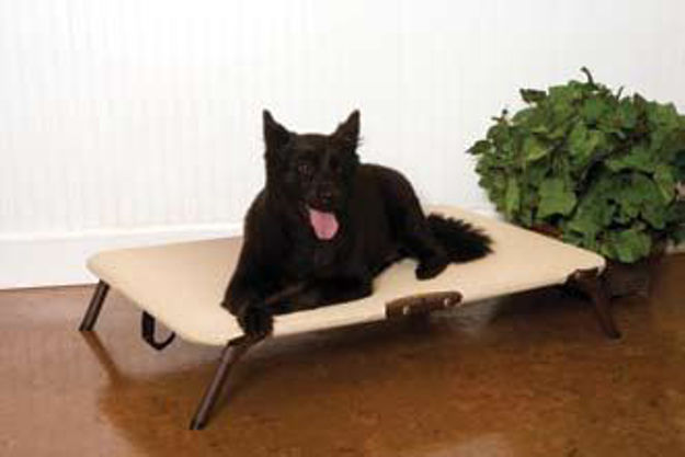 Picture of Coolaroo Foldable Pet Bed - Medium