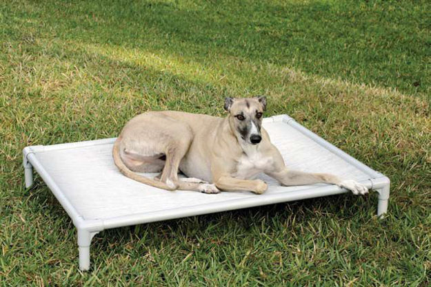 Picture of Coolaroo Aluminum Pet Bed - Extra Large