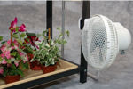 Picture of Holmes Oscillating Clip Fan (pack of 6)