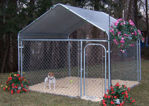 Picture of All Steel Dog Kennel - 4'