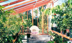 Picture of Sonoma 9'W x 8'L Redwood Lean-To Greenhouse