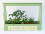 Picture of Herb Plant Light Box