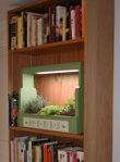 Picture of Herb Plant Light Box