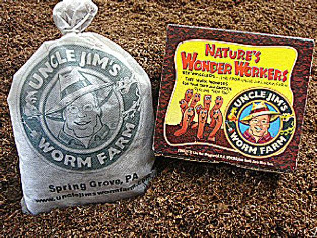 Picture of 1,000 Red Worms