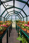 Picture of Majestic 8 Basic Greenhouse Kit