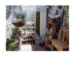 Picture of Eco SunRoom 16 Lean-To Greenhouse Kit - Poly