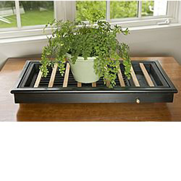 Picture of Black Framed Humidity Plant Tray