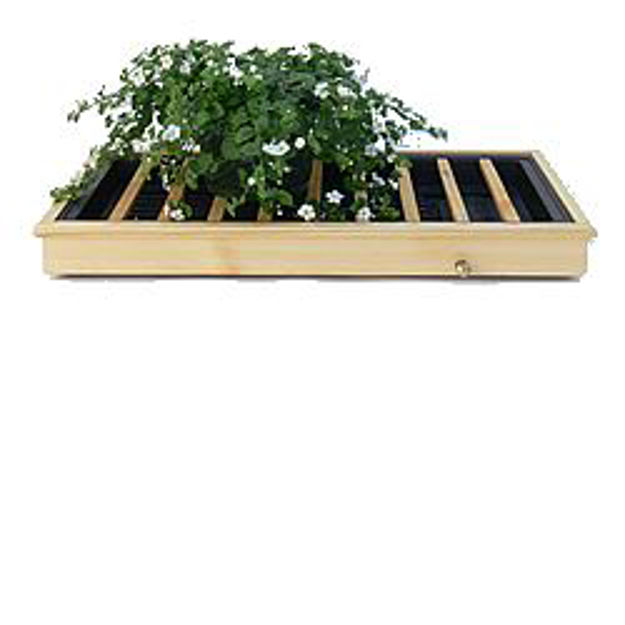 Picture of Maple Framed Humidity Plant Tray