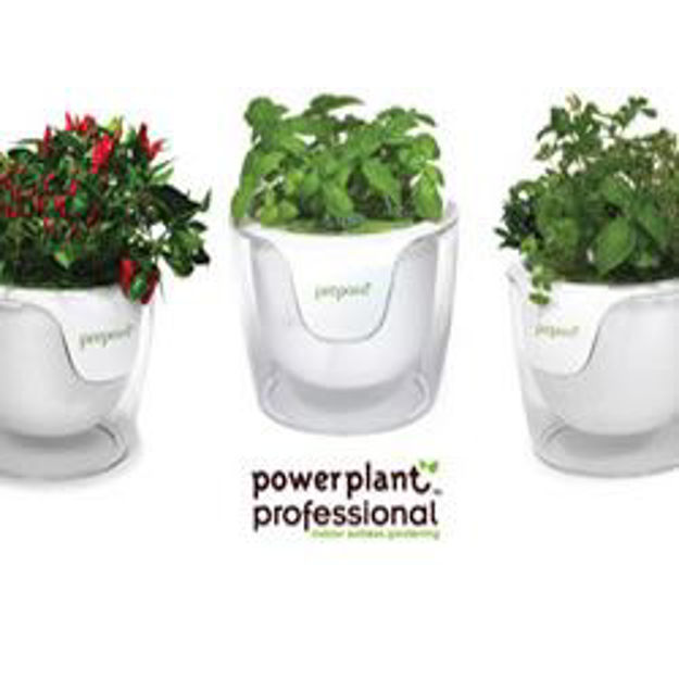 Picture of Prepara Power Plant Professional