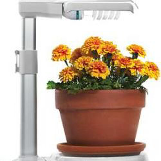 Picture of Prepara Power Grow Lamp with Bulb