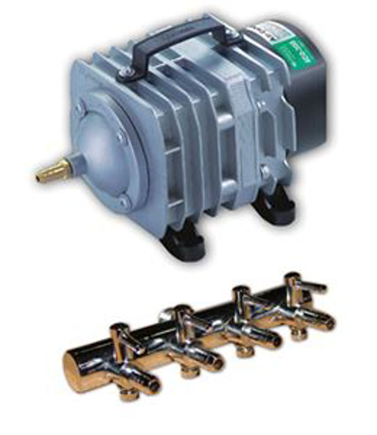 Picture of Commercial Air Pump 6 outlets, 45 lt per minute